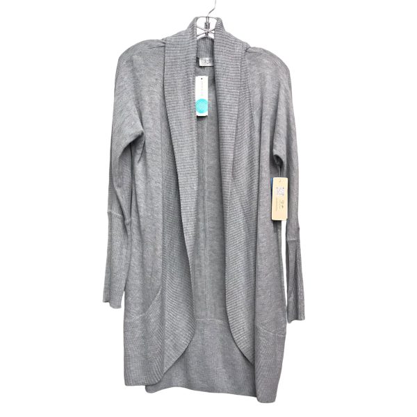 Sweater Cardigan By Rd Style In Grey, Size:L Cheap