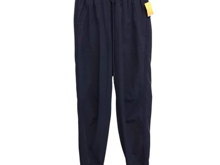 Athletic Pants By Lou And Grey In Blue, Size:Xs Online