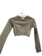 Athletic Top Long Sleeve Crewneck By Gym Shark In Green, Size: S Fashion