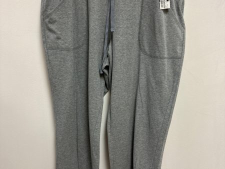 Athletic Pants By Athletic Works In Grey, Size: 2x For Cheap